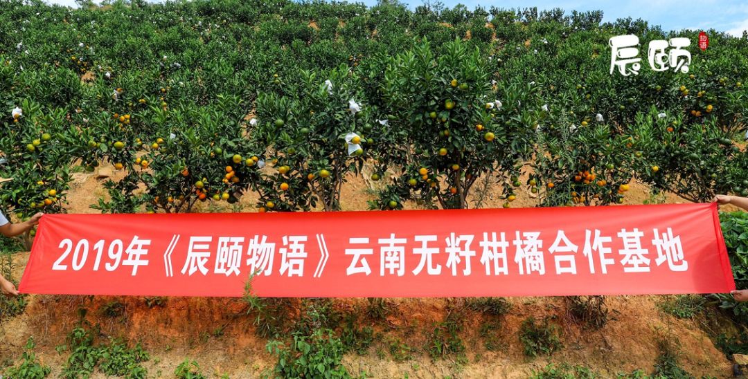 亩农场